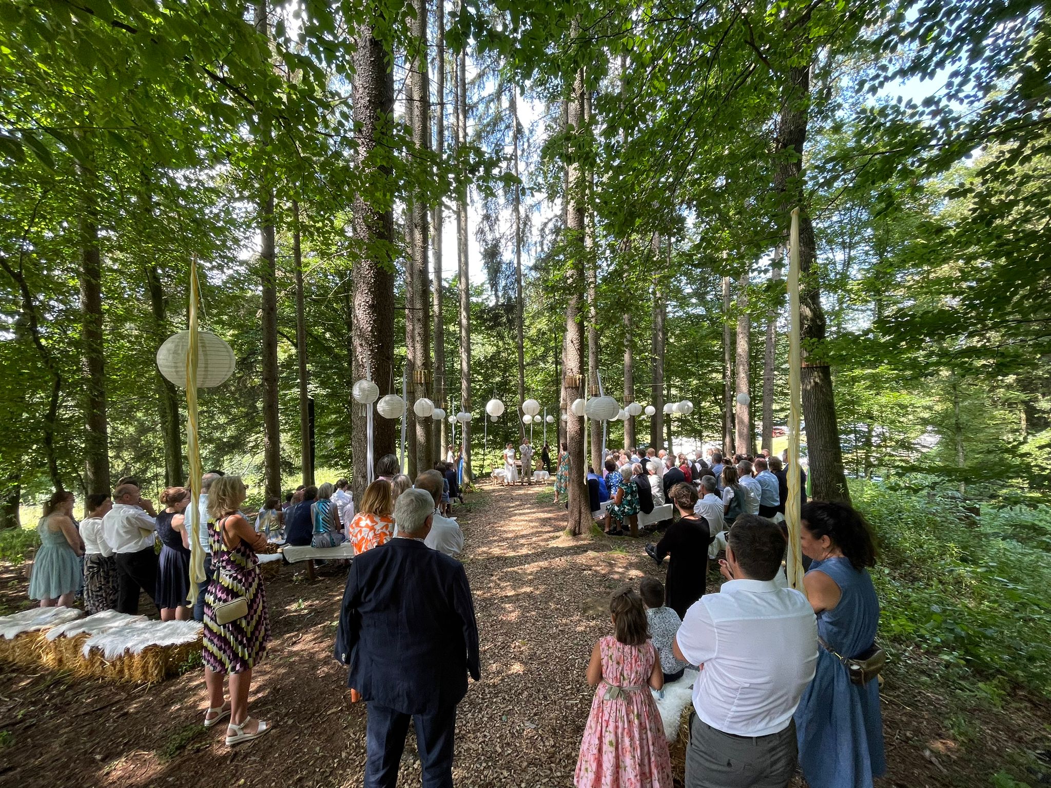 wald hochzeit